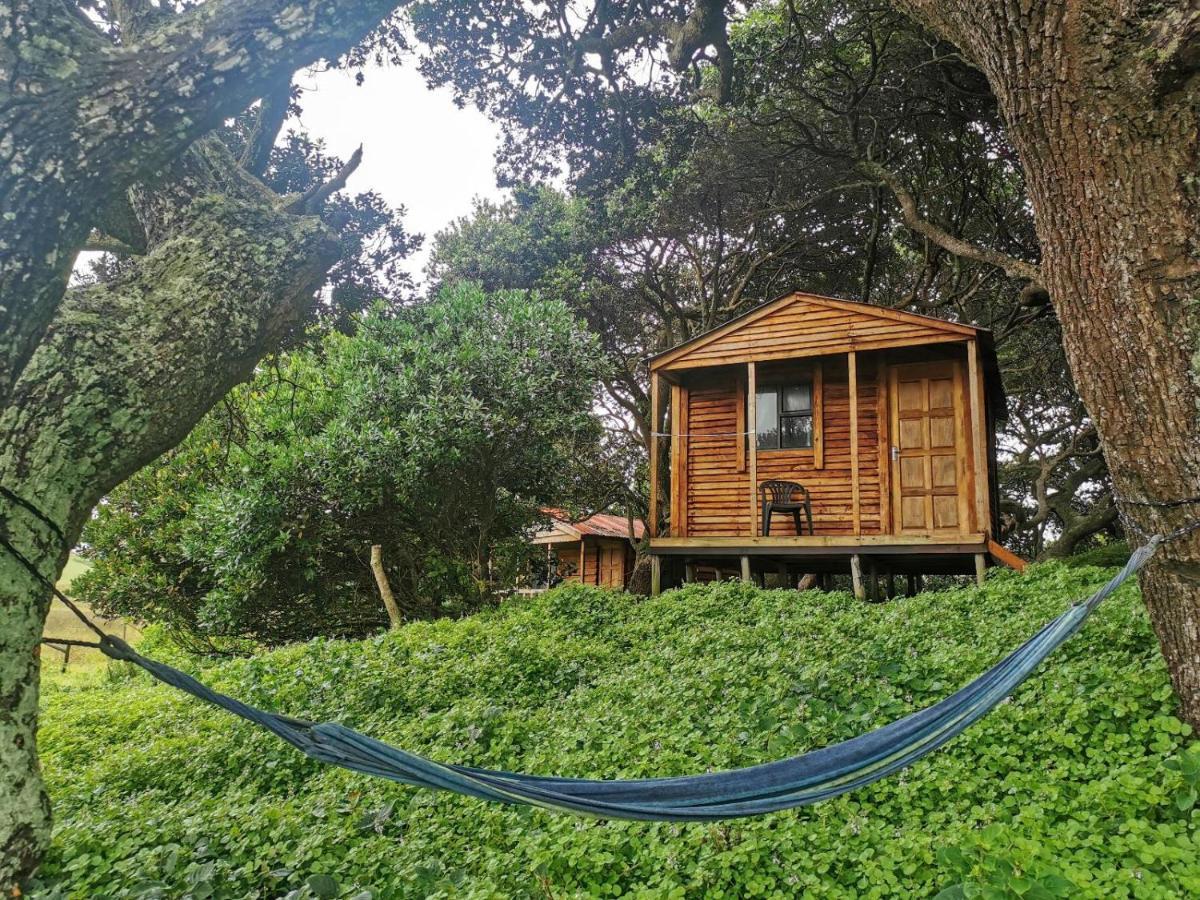 Bulungula Xhosa Community Lodge Pokoj fotografie